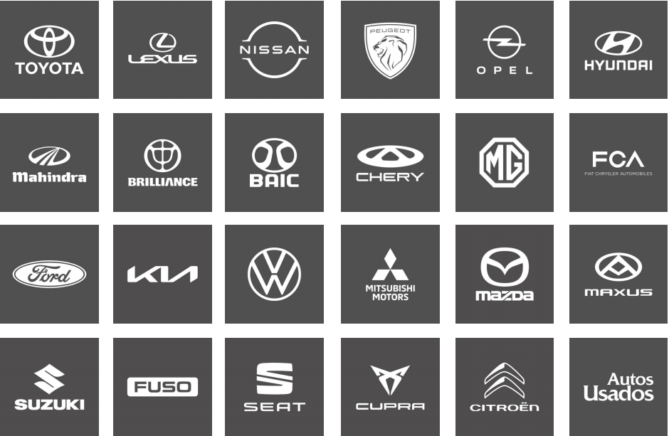 Domestic Car Brand Authorization